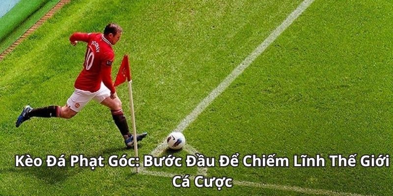 Kèo phạt góc Kinh nghiệm bắt kèo phạt góc chính xác
