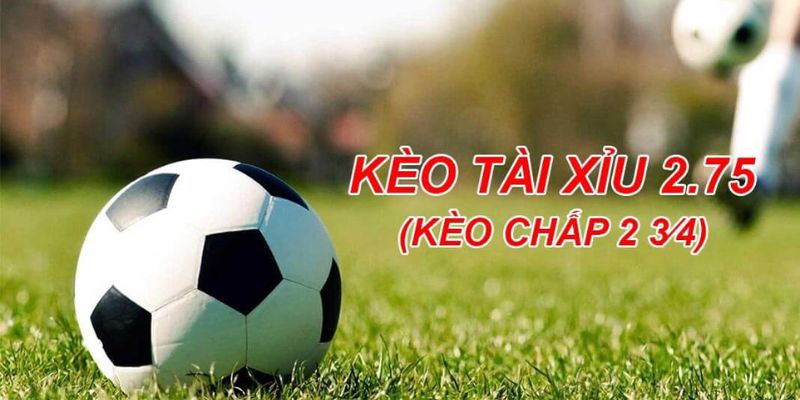 Tìm hiểu tổng quan về Kèo Chấp 2 3/4