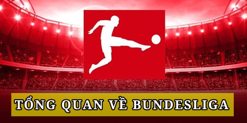 Giới thiệu tổng quan về Bundesliga và sức hút từ kèo cược