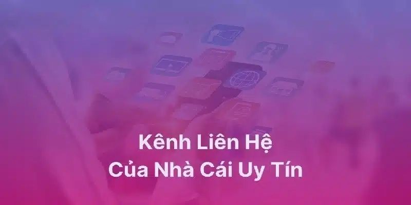 Liên hệ Vai trò quan trọng của liên hệ trong cá cược bóng đá