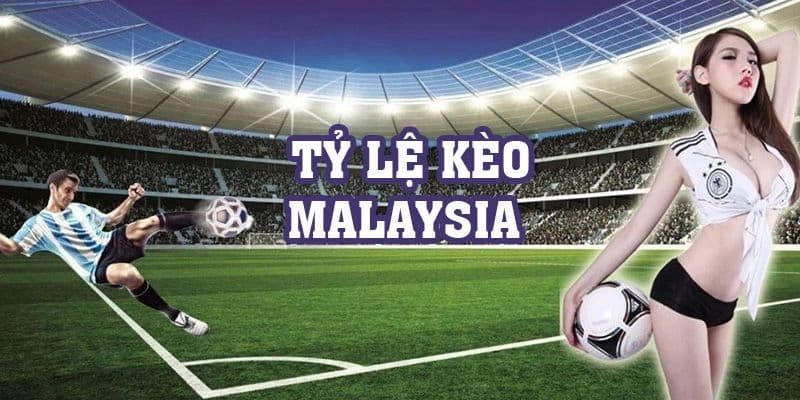 Vì sao tỷ lệ bóng đá Malaysia được ưa chuộng?